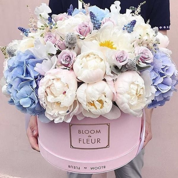 MOR Snow Gardenia Emporium Classics Hand Body Wash 500ml Natonic