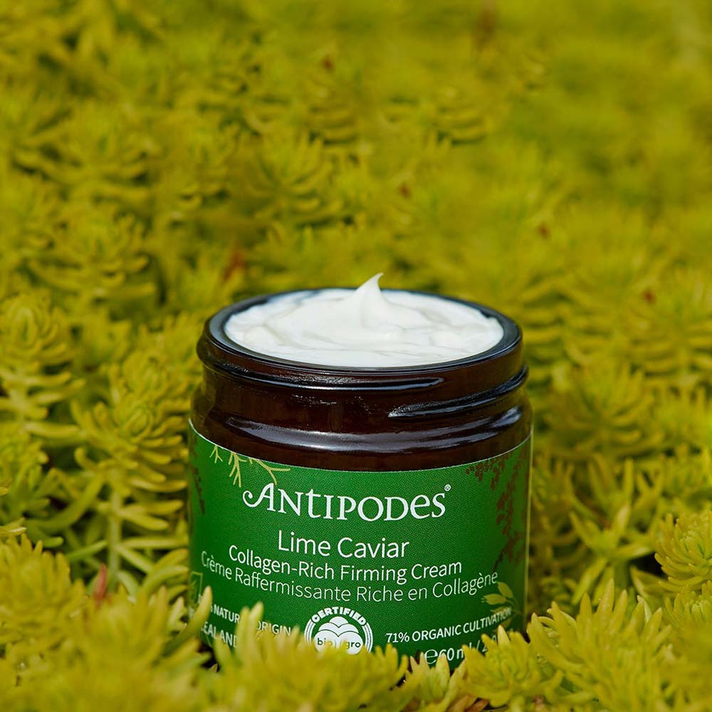 新品アンティポディースCollagen-Rich Firming Cream2個 Antipodes Lime Caviar Collagen-Rich Firming Cream 60ml | Natonic