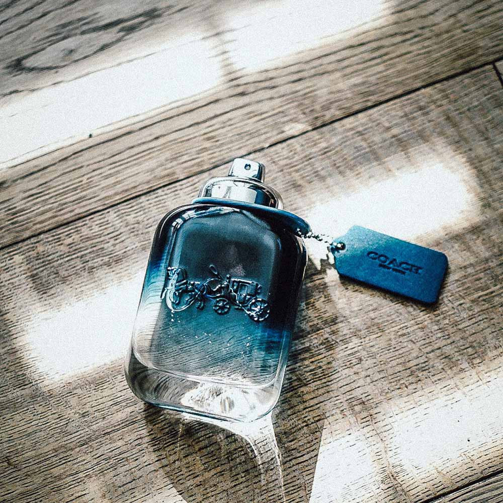 Coach Blue Eau De Toilette 100ml | Natonic