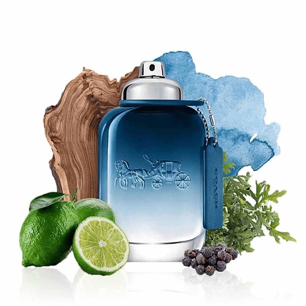 Coach Blue Eau De Toilette 60ml Natonic