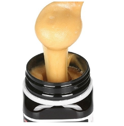 Comvita UMF 5+ Manuka Honey 1kg (Not Available in WA) main image 1