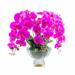 Cote Noire-Centrepiecel Orchides Fuchsia