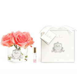 Cote Noire-Five Roses in Clear and White Peach