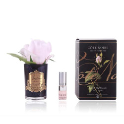 Cote Noire-Perfumed Natural Touch Rose Bud in Black and Fresh Pink