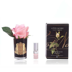 Cote Noire-Perfumed Natural Touch Rose Bud in Black and White Peach