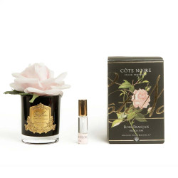 Cote Noire-Perfumed Natural Touch Single Rose in Black and French Pink