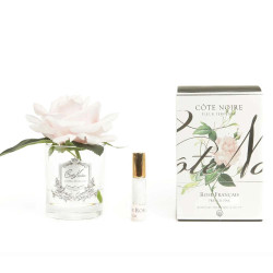 Cote Noire-Perfumed Natural Touch Single Rose in Clear and French Pink