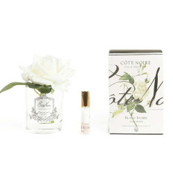 Cote Noire-Perfumed Natural Touch Single Rose in Clear and Ivory White