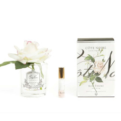 Cote Noire-Perfumed Natural Touch Single Rose in Clear and Pink Blush