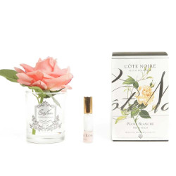 Cote Noire-Perfumed Natural Touch Single Rose in Clear and White Peach