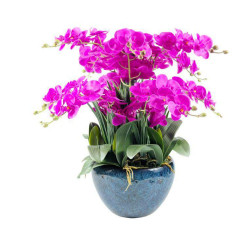 Cote Noire-Very Large Ceramic Pot Purple Orchids