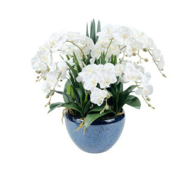 Cote Noire-Very Large Ceramic Pot White Orchids