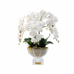 Cote Noire-Luxury Orchid Centrepiece Bouquet White & Gold Badge