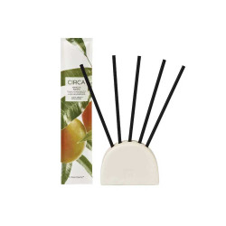 CIRCA-Mango & Papaya Scent Stem Refills 5 PACK