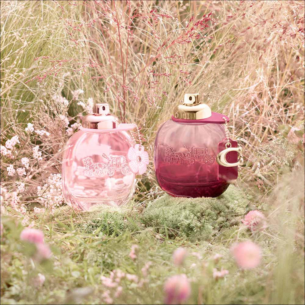 コーチ ワイルド ローズ オードパルファム 50ml |ナトニック