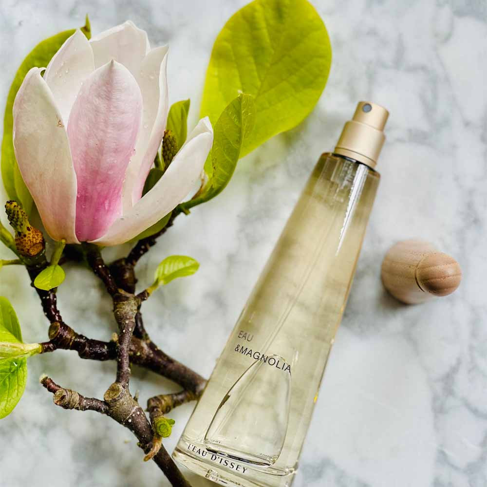 ISSEY MIYAKE Mint 18AW Wrinkled Top L イッセイ ミヤケ Eau  