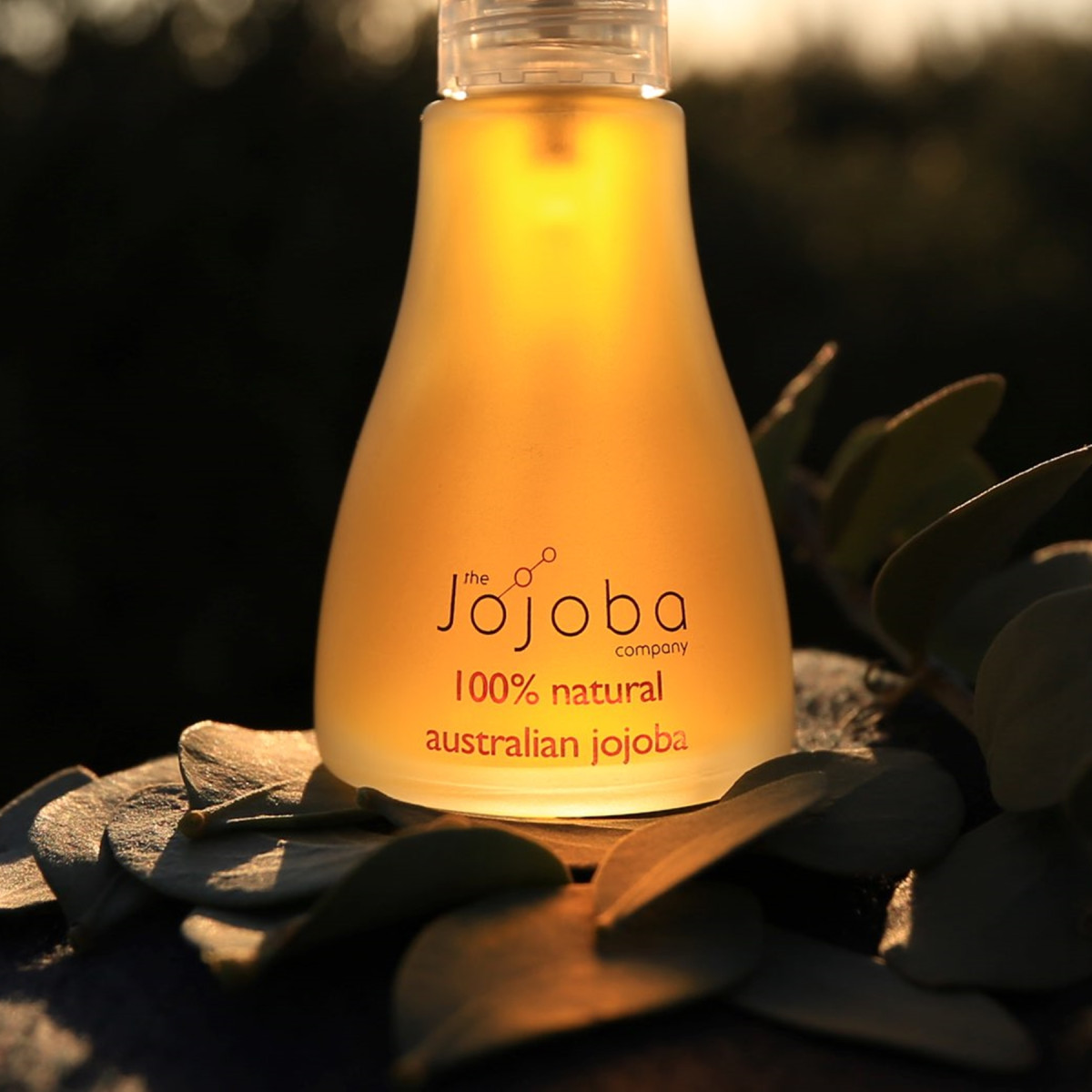 さちこさん専用ページです。NATURAL JOJOBA OIL 2本セット さちこさん